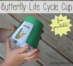 a child holding a paper cup with the words butterfly life cycle cup on it