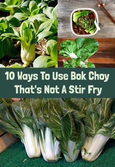 10 Ways To Use Bok Choy That's Not A Stir Fry Bol Choy Side, Bock Choy Stir Fry Recipes, Back Choy Recipe, Recipe Bokchoy Stirfry, Pal Choi Recipes, Pak Choi Recipes