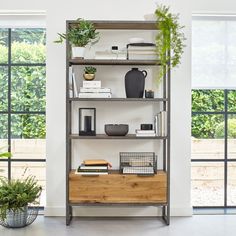 a shelf with books, plants and other things on it