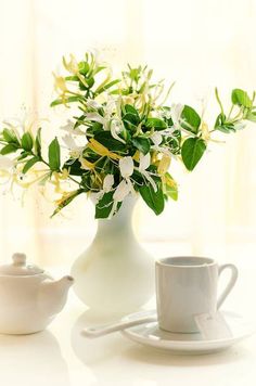 a white vase filled with flowers next to a cup and saucer on a table