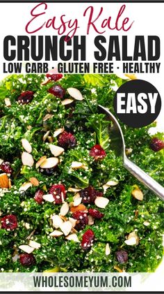 Kale Crunch Salad Recipe Kale Salad Ideas Healthy, Kale Superfood Salad, Chopped Kale Salad Recipes Healthy, Kale Salads For Dinner, Low Carb Kale Salad, Easy Kale Salad Recipes, Massaged Kale Salad Recipes, Wilted Kale Salad, Kale Salad Recipes Dressing