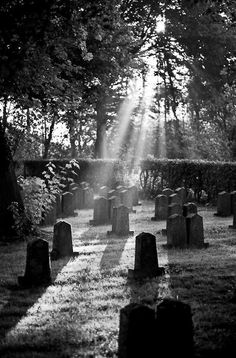 a cemetery with the word die on it in front of some headstones and trees