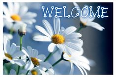 a welcome card with daisies in the foreground