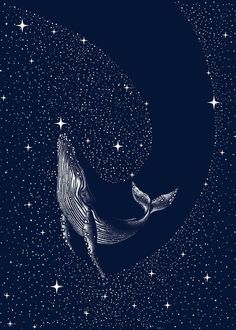 a drawing of a whale in the night sky