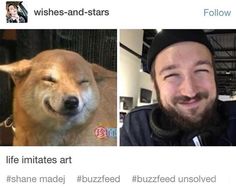 two pictures one has a dog and the other has a man's face with his eyes closed