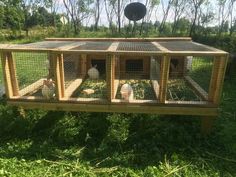 three chickens in their cages on the grass near some trees and a bird feeder