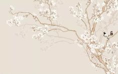 two birds are perched on the branches of a blossoming tree with white flowers against a beige background