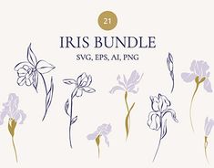 the iris bundle is available for purchase