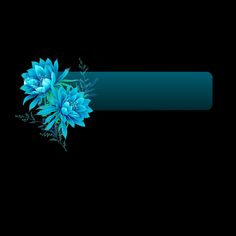 two blue flowers on a black background with an empty space in the center for text