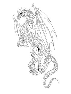 a black and white drawing of a dragon