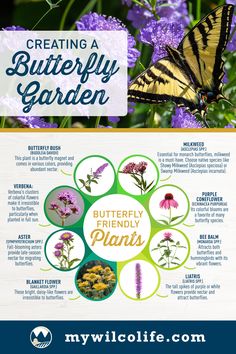 the butterfly garden flyer is shown with purple flowers and butterflies