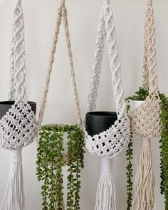 macrame plant hangers are hanging on the wall with plants in them and one is holding a potted plant