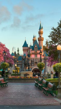 there are many park benches in front of the castle at disneyland's magic kingdom