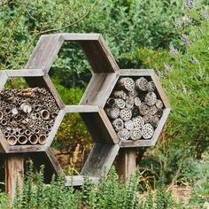 several beehives are arranged in the shape of hexagons and surrounded by greenery