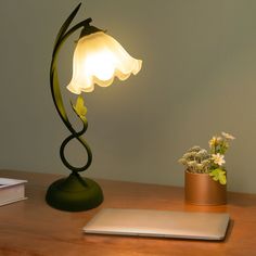 a desk lamp sitting on top of a wooden table next to a laptop and flower pot