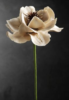 a single white flower is in a vase on a black background with the petals still attached