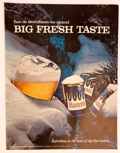 an advertisement for hams beer in the snow with two ice buckets next to it