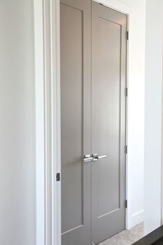 an empty hallway with two doors and carpeted floor