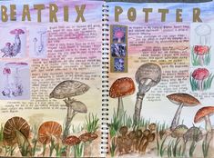 an open book with pictures of different mushrooms