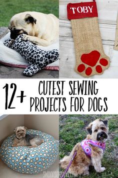 some cute dog beds and pillows with the words cutie sewing projects for dogs on them