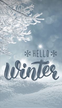 the words hello winter are in front of snow covered trees and blue sky with white lights