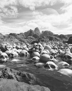 a bunch of skulls are in the water