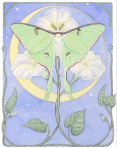 a green and white moth sitting on top of a flower next to a crescent moon