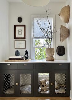 a dog is sitting in its kennel with his head resting on the top shelf