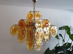 a chandelier hanging from the ceiling next to a potted plant and wall