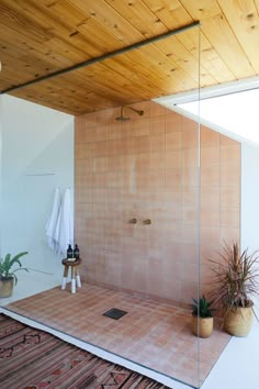 a bathroom with a shower, rug and plants on the floor in front of it