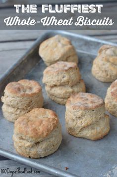 biscuits on a baking sheet with text overlay that reads the fluffyest whole wheat biscuits