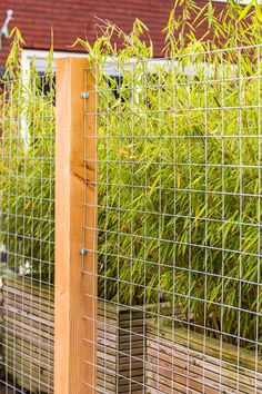 the fence is made of metal wire and wood