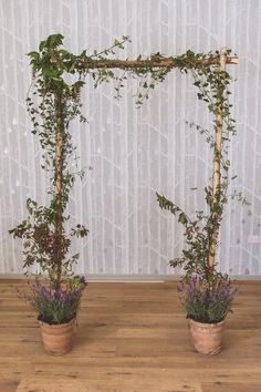 two potted plants with vines and flowers in them on a wooden floor next to a white wall