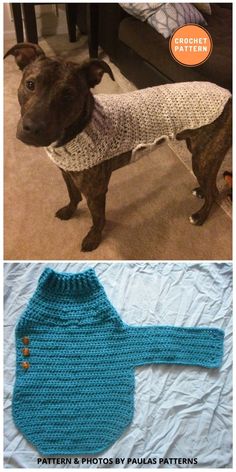 a brown dog wearing a sweater on top of a bed next to an image of a baby