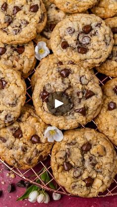 chocolate chip cookies cooling on a wire rack with flowers and leaves around the edges, ready to be eaten