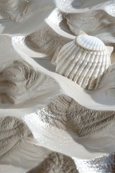 the sand is covered with shells and water