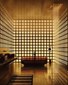 a bath room with a large tub sitting next to a wall covered in lattices