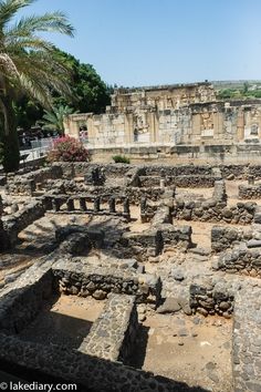 the ruins are surrounded by palm trees and flowers