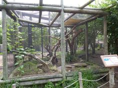 a caged in area with trees and plants inside it, including an animal enclosure