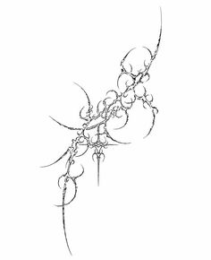 a black and white drawing of flowers on a branch