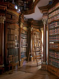 an old library with ladders and bookshelves full of books on the shelves