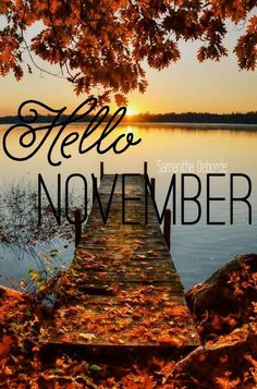 a wooden dock sitting on top of a lake surrounded by fall leaves and trees with the words hello november written across it