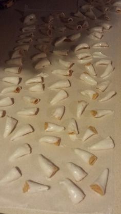 shark teeth laid out on top of each other in the middle of a white counter