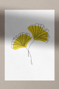 two yellow fan shaped flowers on a white paper with shadow from the wall behind them