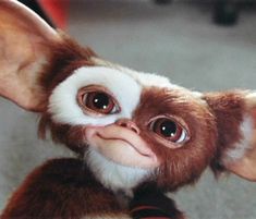 a small stuffed animal with big ears and eyes