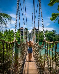 a woman standing on a suspension bridge in the jungle