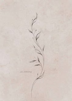 Willow Tree Branch Tattoo, Simple Floral Tattoo, Tattoo Sonne, Floral Back Tattoos, Around Arm Tattoo, Torso Tattoos, Flower Tattoo Shoulder, Vine Tattoos, Petite Tattoos