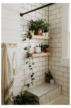 a white tiled bathroom with plants on the shelves