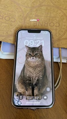 a cat sitting on top of an iphone