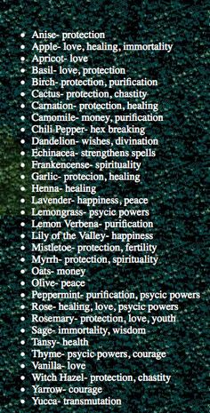 List Of Herbs And Their Uses, Herbs In Spells, Herbs For Luck Witchcraft, Herbs List Witchcraft, Health Herbs Witchcraft, Spices And Herbs List Witchcraft, List Of Herbs And Their Benefits, Herbs For Magic, Irish Witchcraft Spells